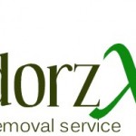 cropped-odorzx3.jpg