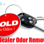 odorzx car dealer odor removal