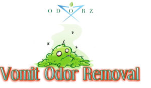 Vomit Odor Removal by odorzx 