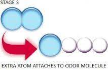 ozone odor removal stage 3