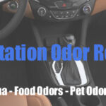 odorzx transportationl-Odor Removal