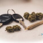 Marijuana car odor removal