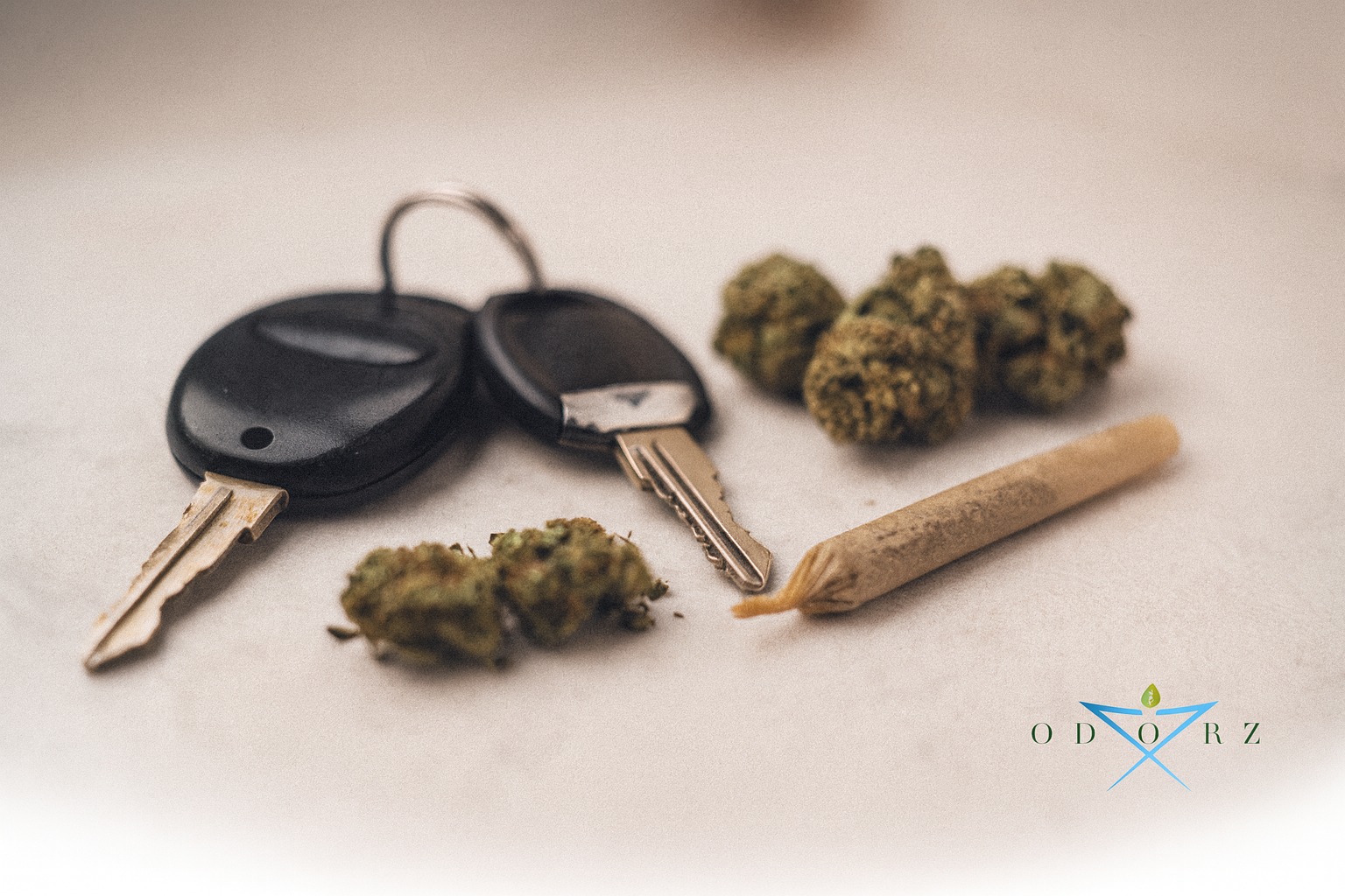 Marijuana car odor removal Auto Odor Removal Service