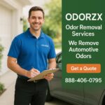 We remove automotive odors