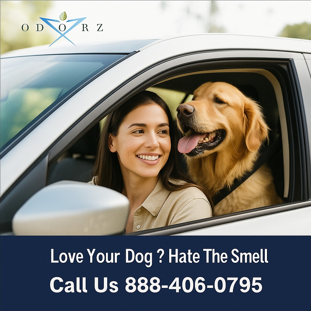 Pet Odor Removal Service in Los Angeles