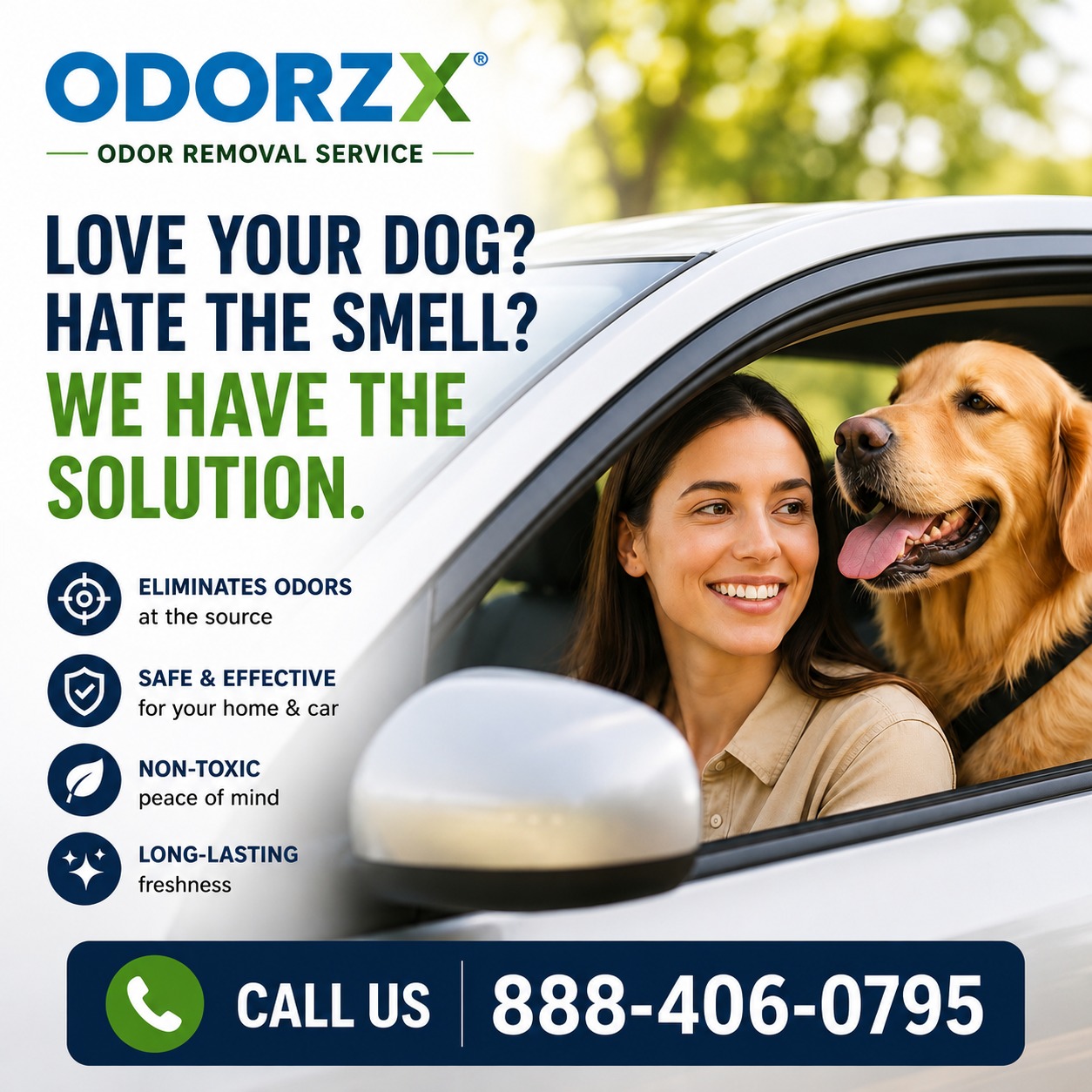 Pet Odor Removal Service in Los Angeles